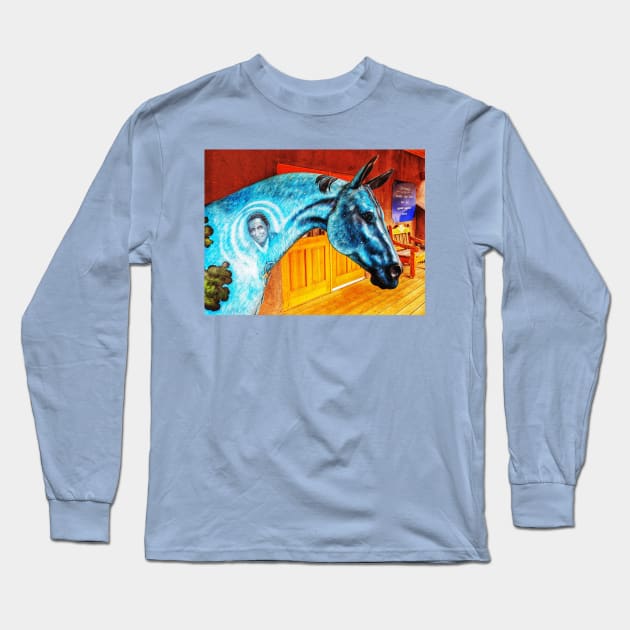 Blue Horse Long Sleeve T-Shirt by thadz